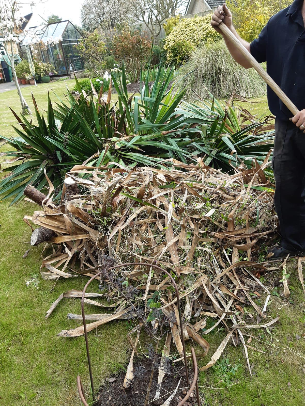 Waste & Site Clearances in Somerset