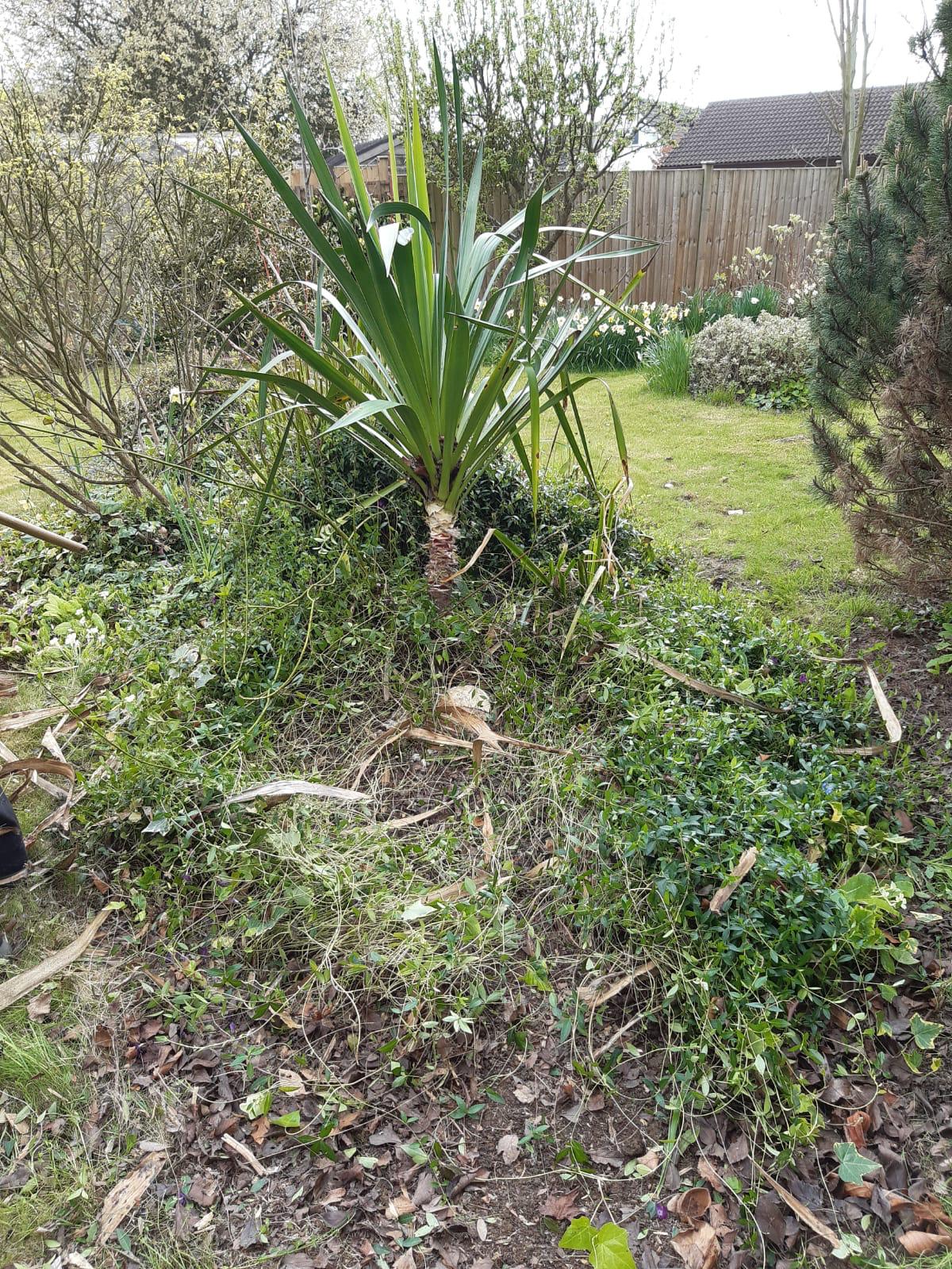 Full site clearance service by JB Outdoor Services Wincanton